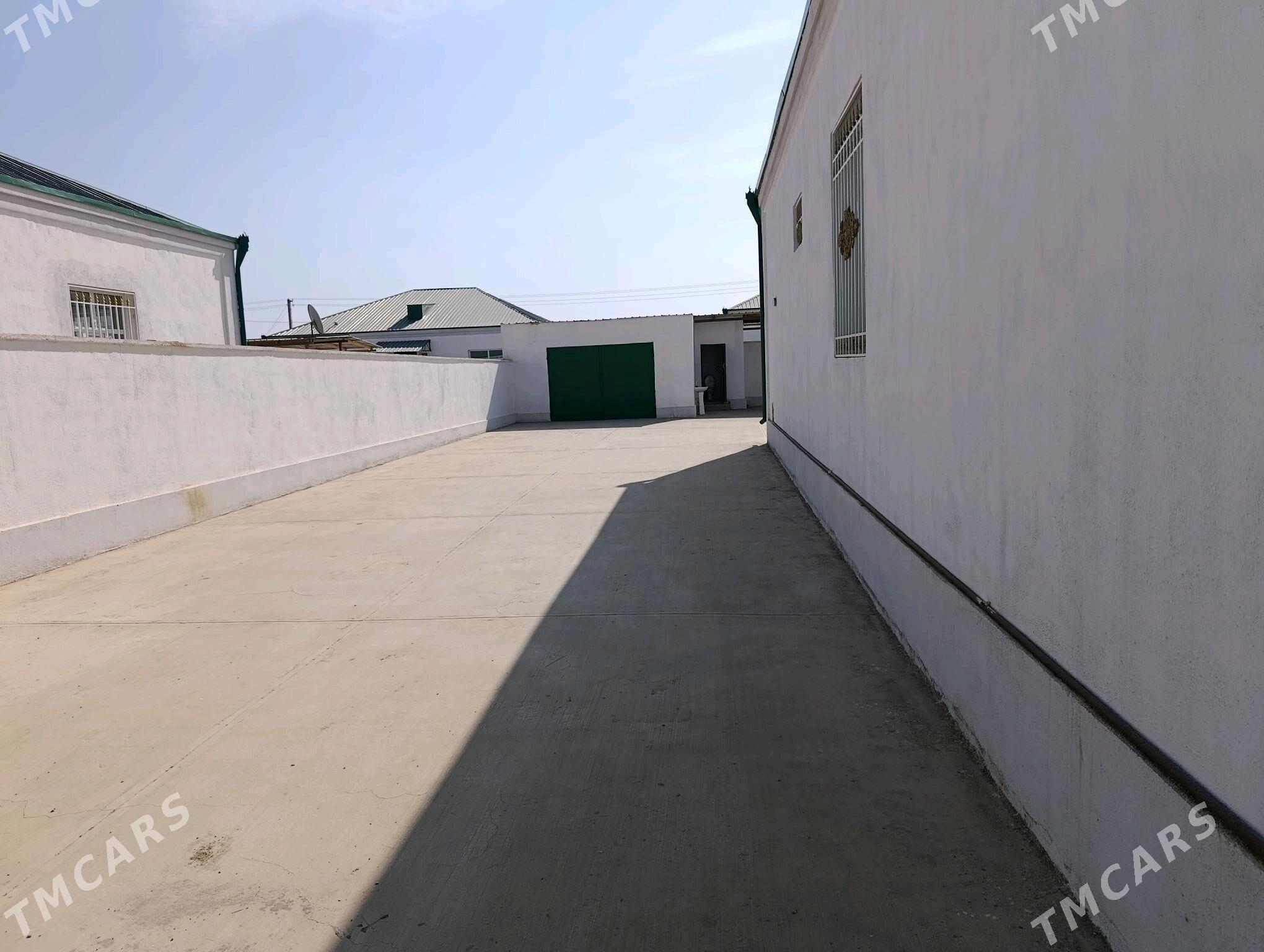 Elitka - Bäherden - img 3