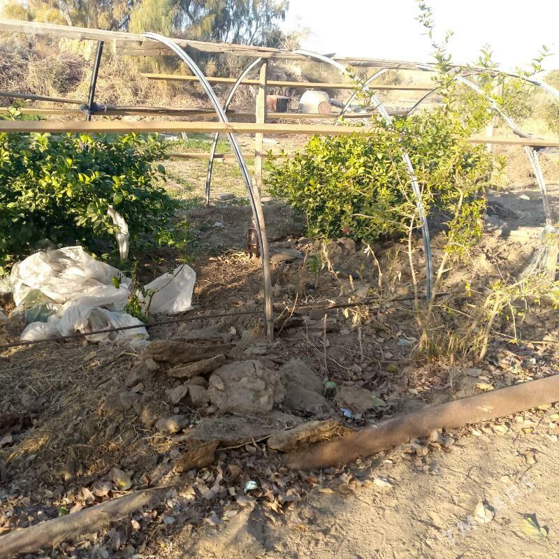 teplisa - Ýolöten - img 2