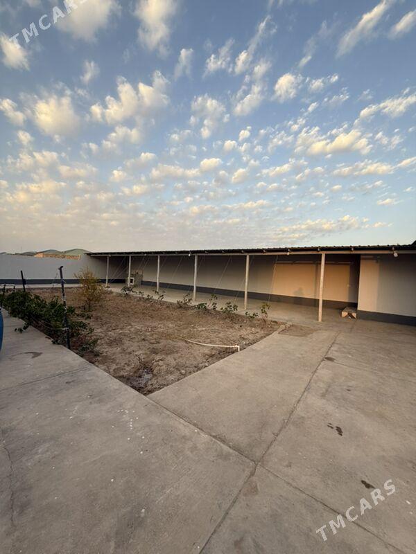 Жай jay Gülüstan - Daşoguz - img 5