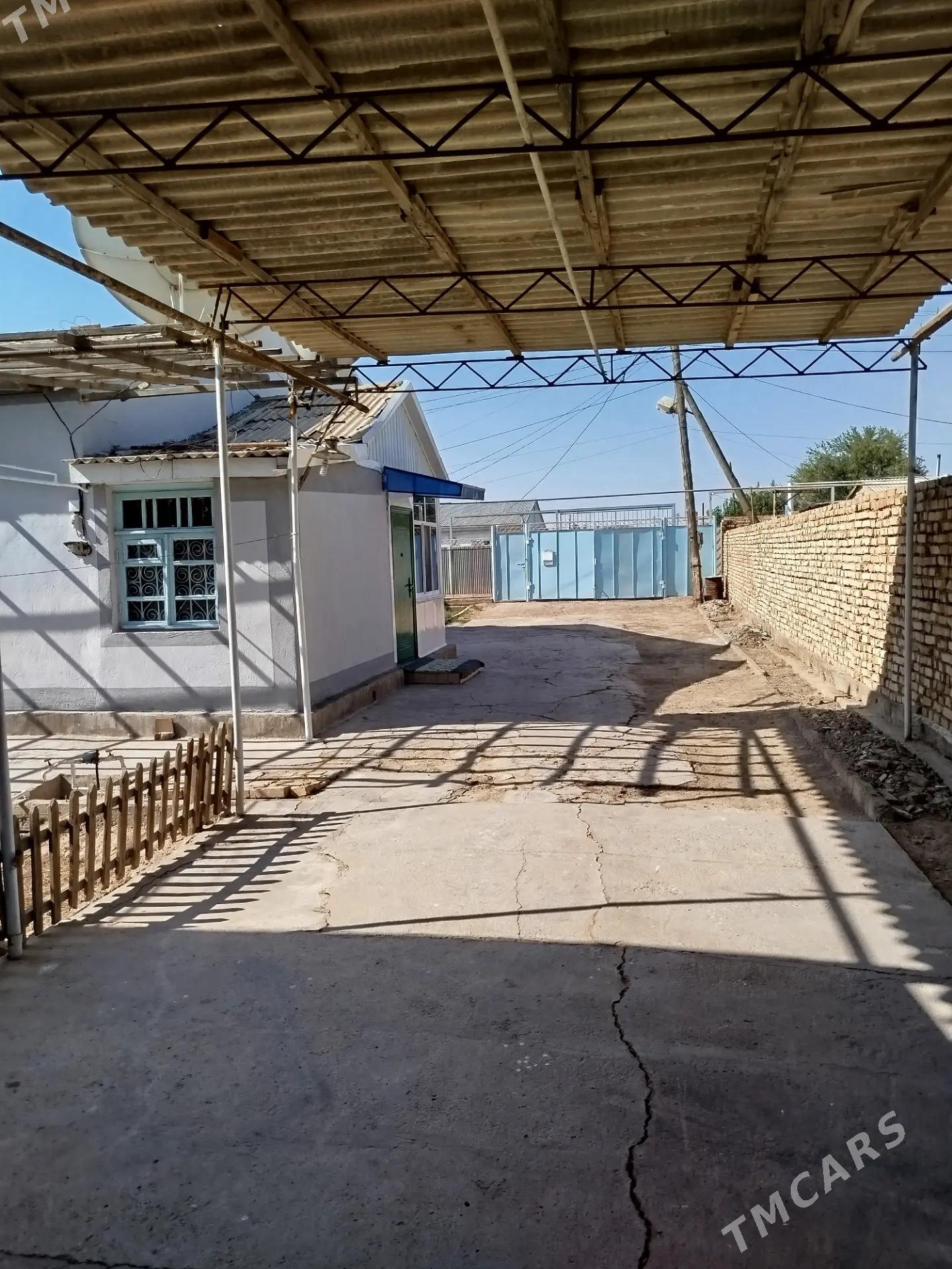 Satlyk Howly Jay - Мары - img 3