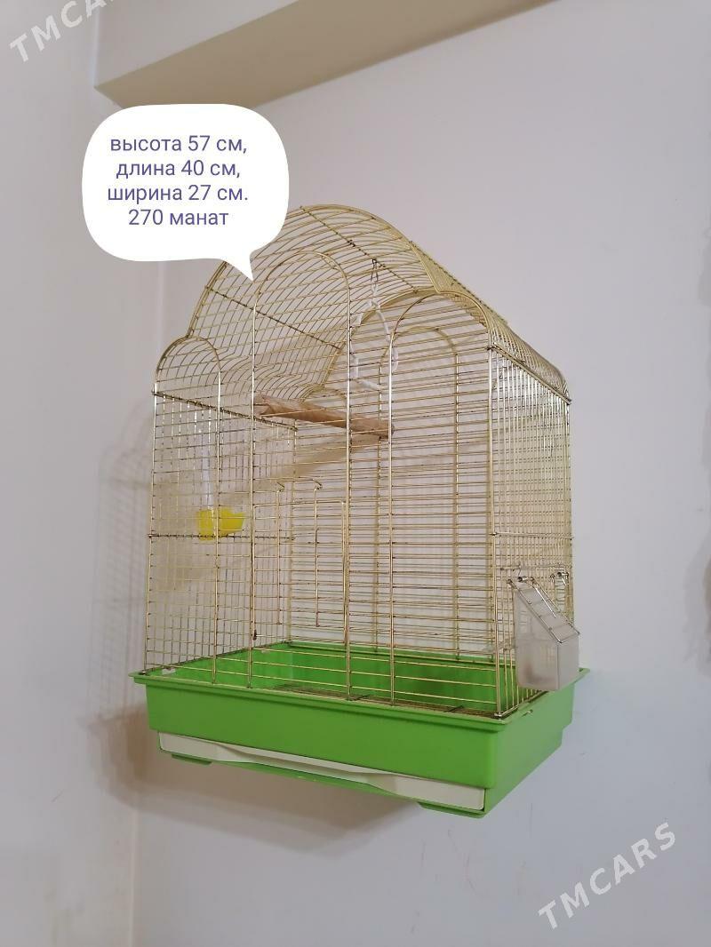 клетки - Ашхабад - img 2