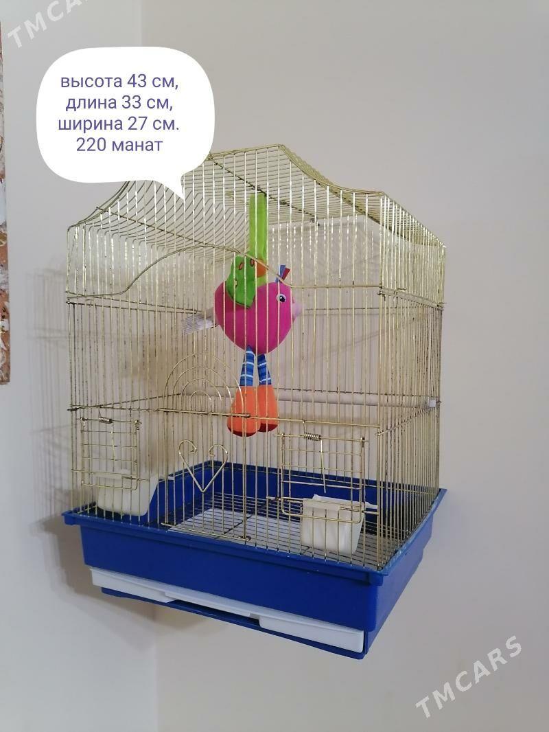 клетки - Ашхабад - img 3