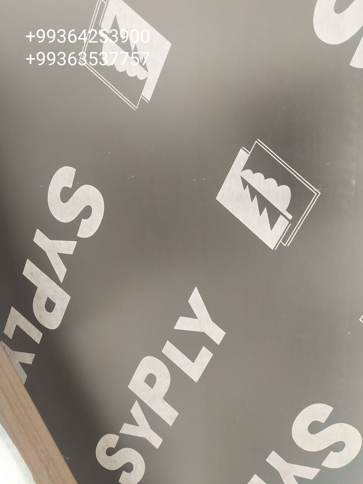 Ak faner - Aşgabat - img 3