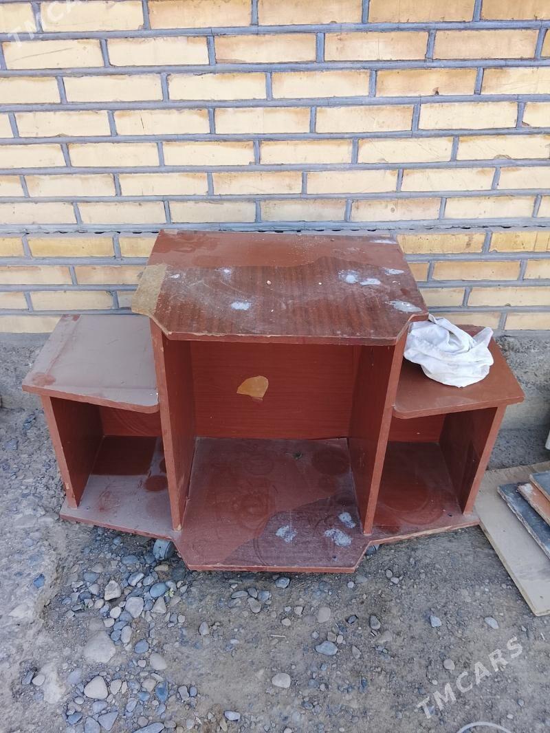 telewizir goyulyan usdol - Mary - img 2