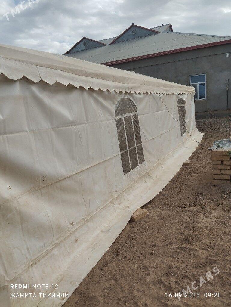 toy sadaka ùn palata - Каракумский этрап - img 4