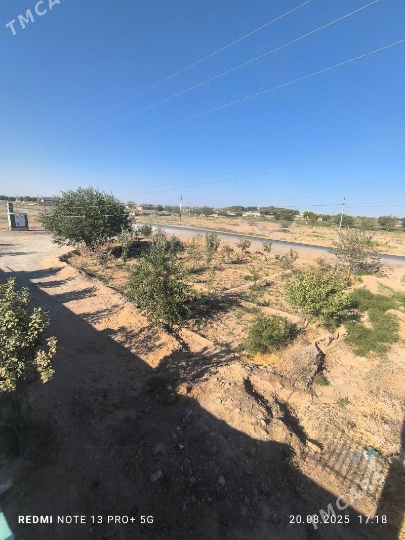 ucastok 24 sotok - Кака - img 10