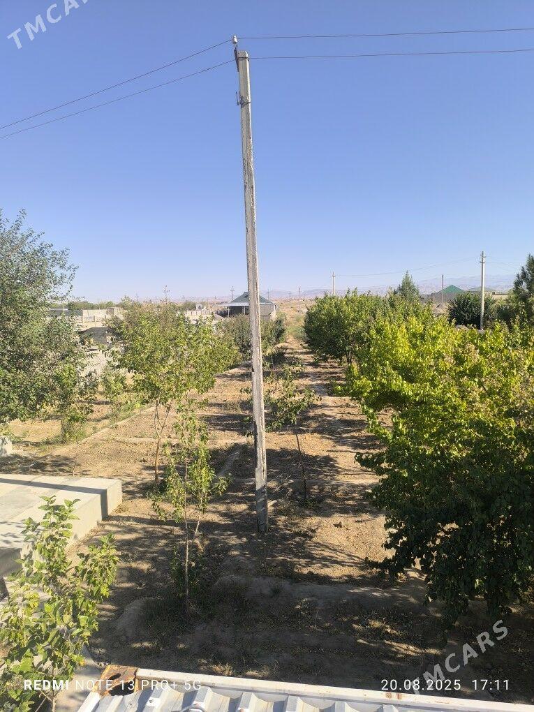 ucastok 24 sotok - Кака - img 5