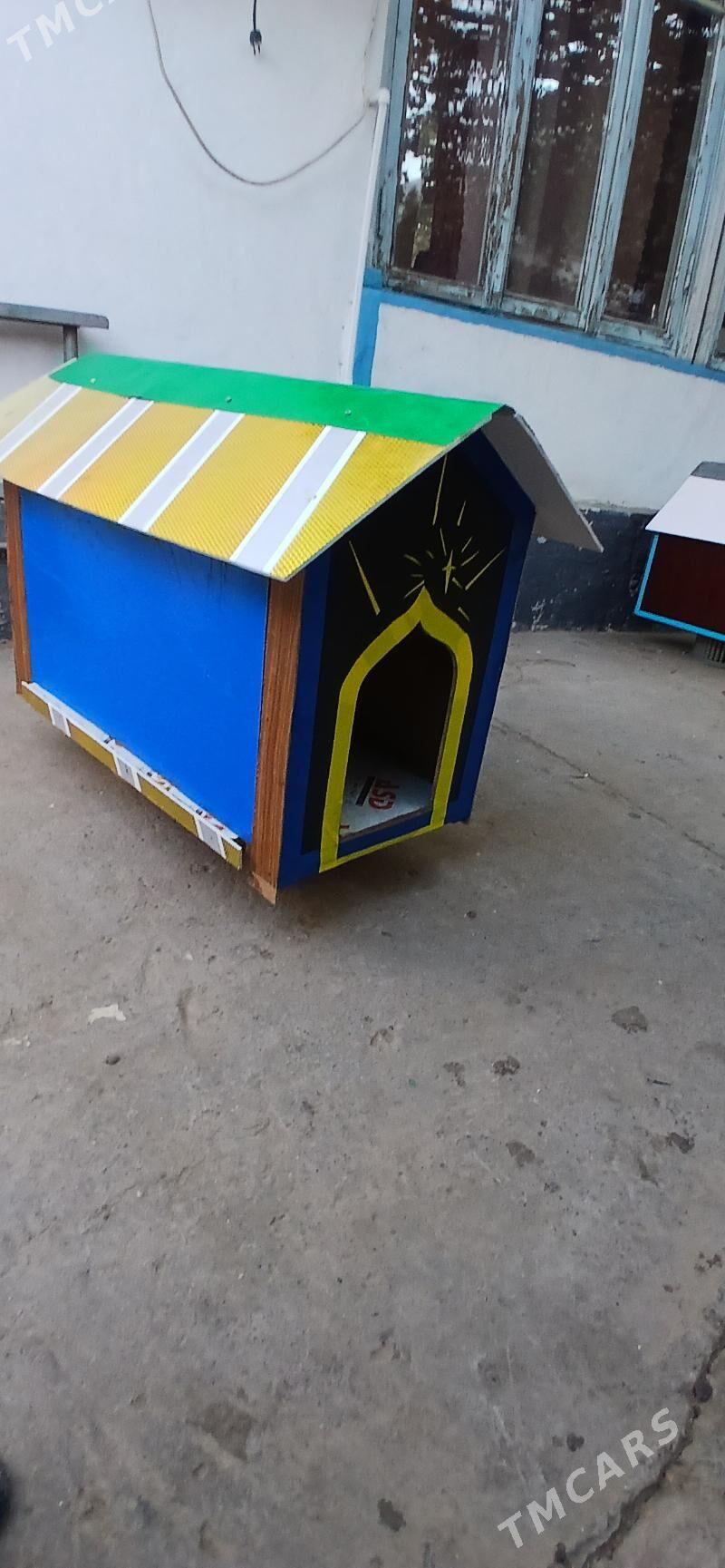 Кошачие дом - Ким район - img 1