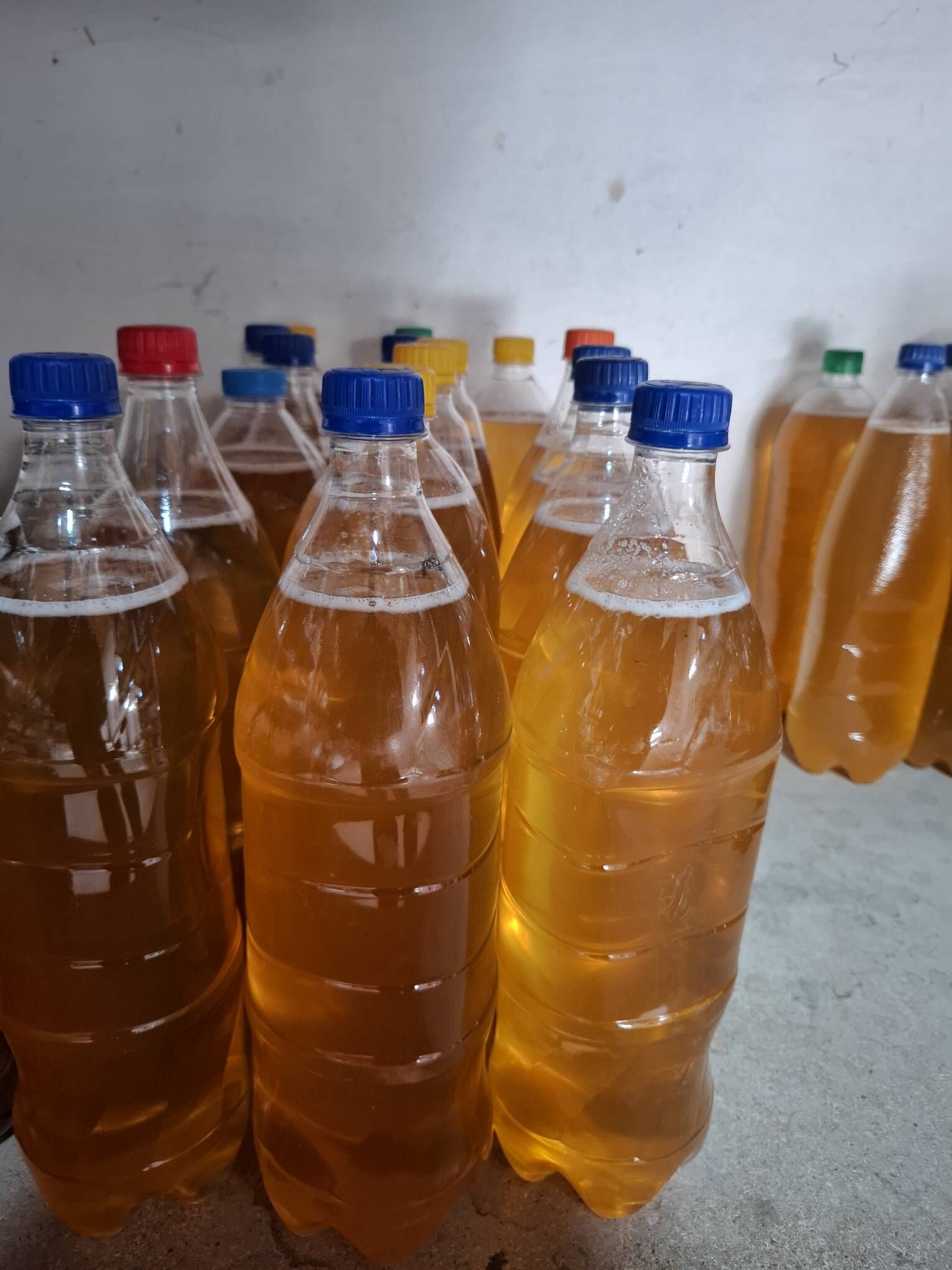 Маточный молочко Прополис мёд - Туркменабат - img 6