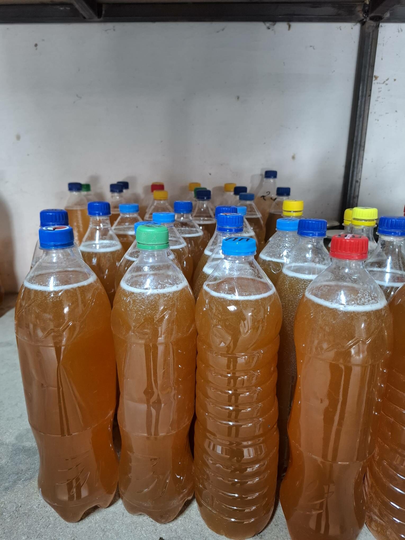 Маточный молочко Прополис мёд - Туркменабат - img 7