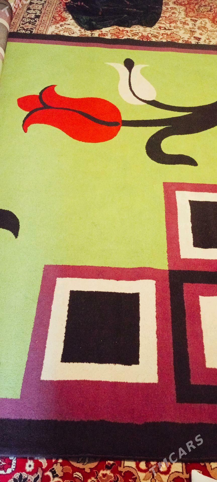 Haly - Gumdag - img 1