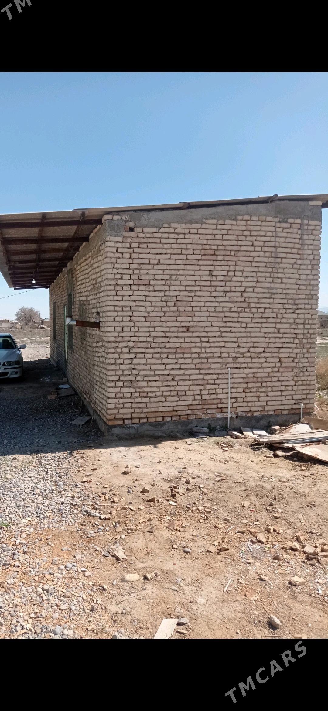 satlyk jaý - Кака - img 2