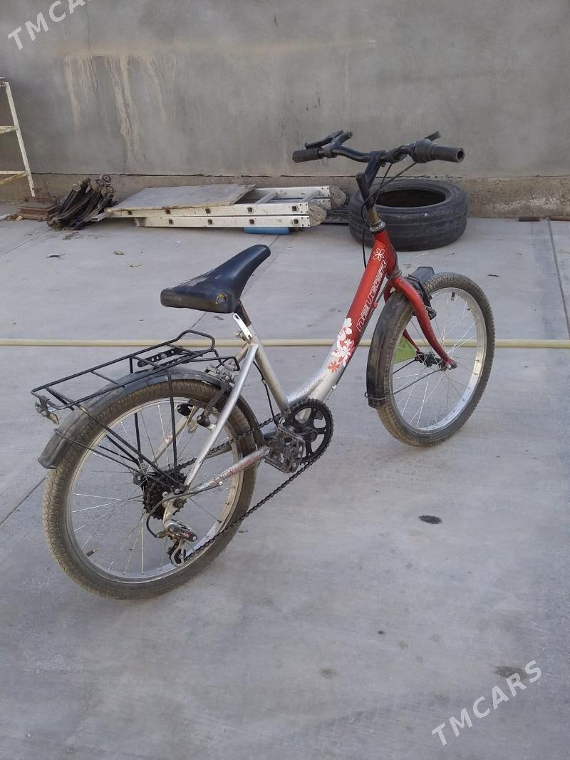 Welik 20 lik - Şabat etr. - img 1