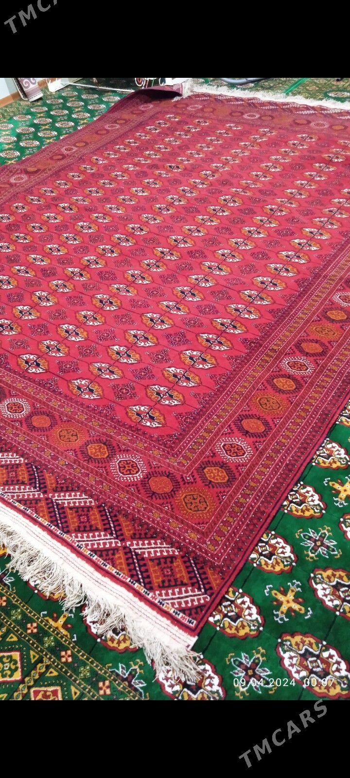 el haly - Хитровка - img 1