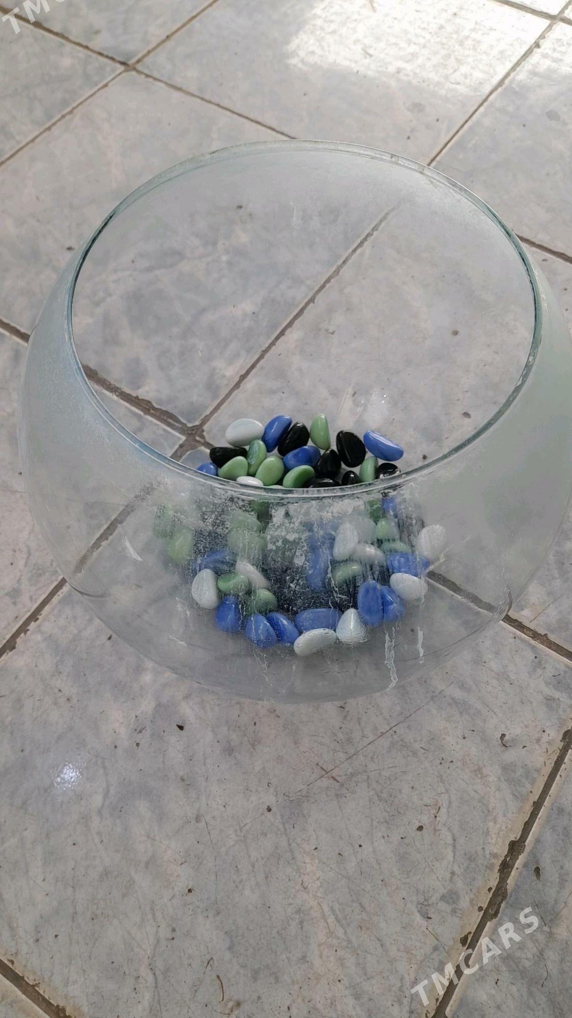 Аквариум - Ашхабад - img 1