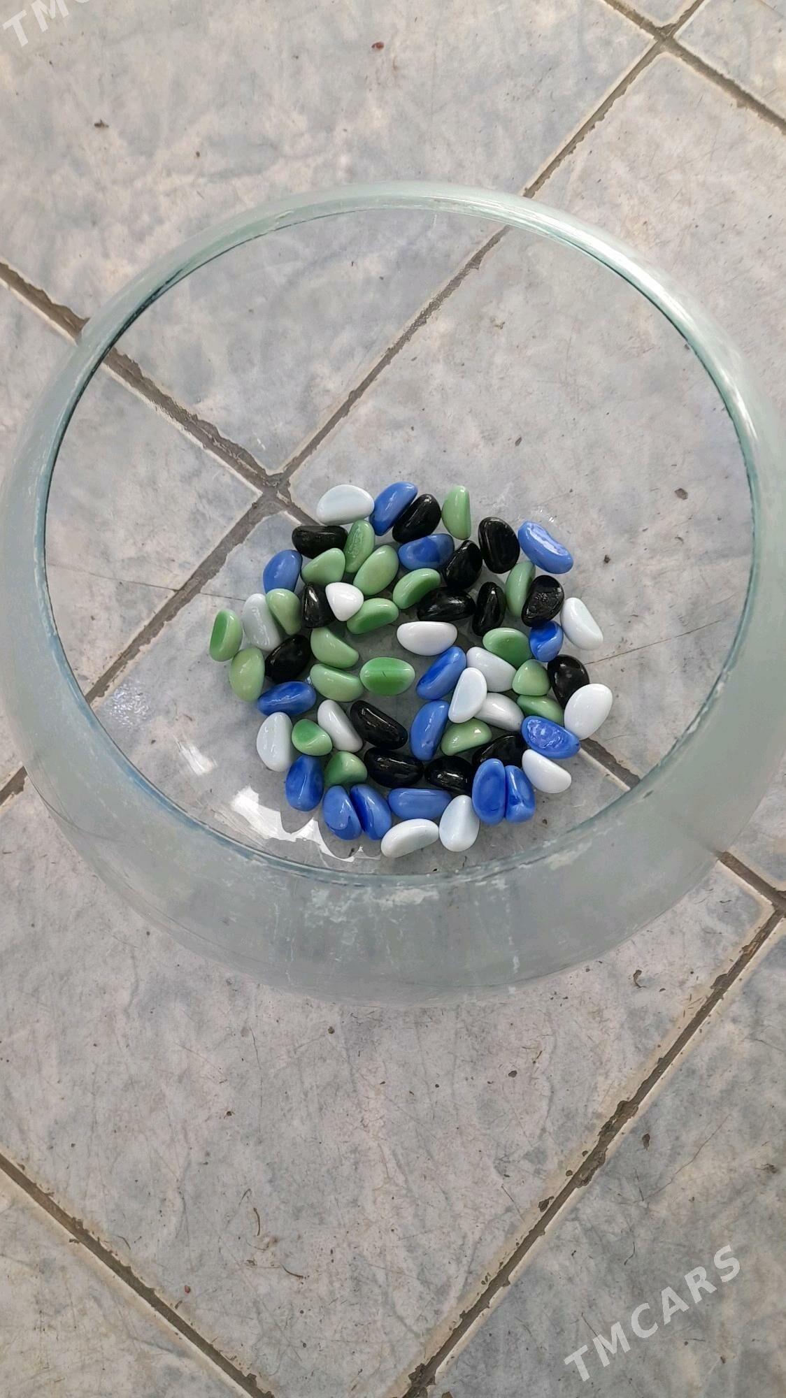 Аквариум - Ашхабад - img 2