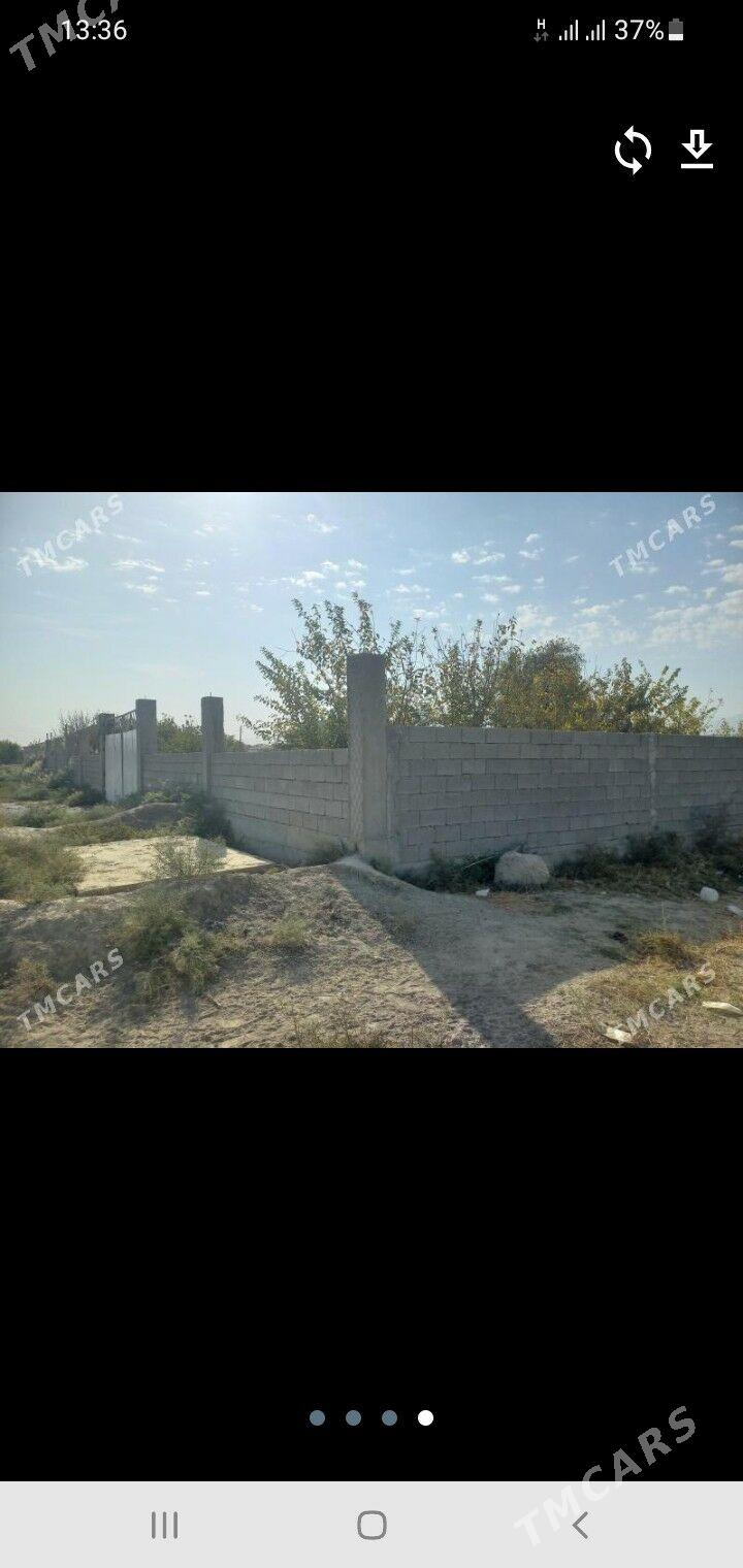 Mellek ýer śorgala - Гёкдепе - img 3