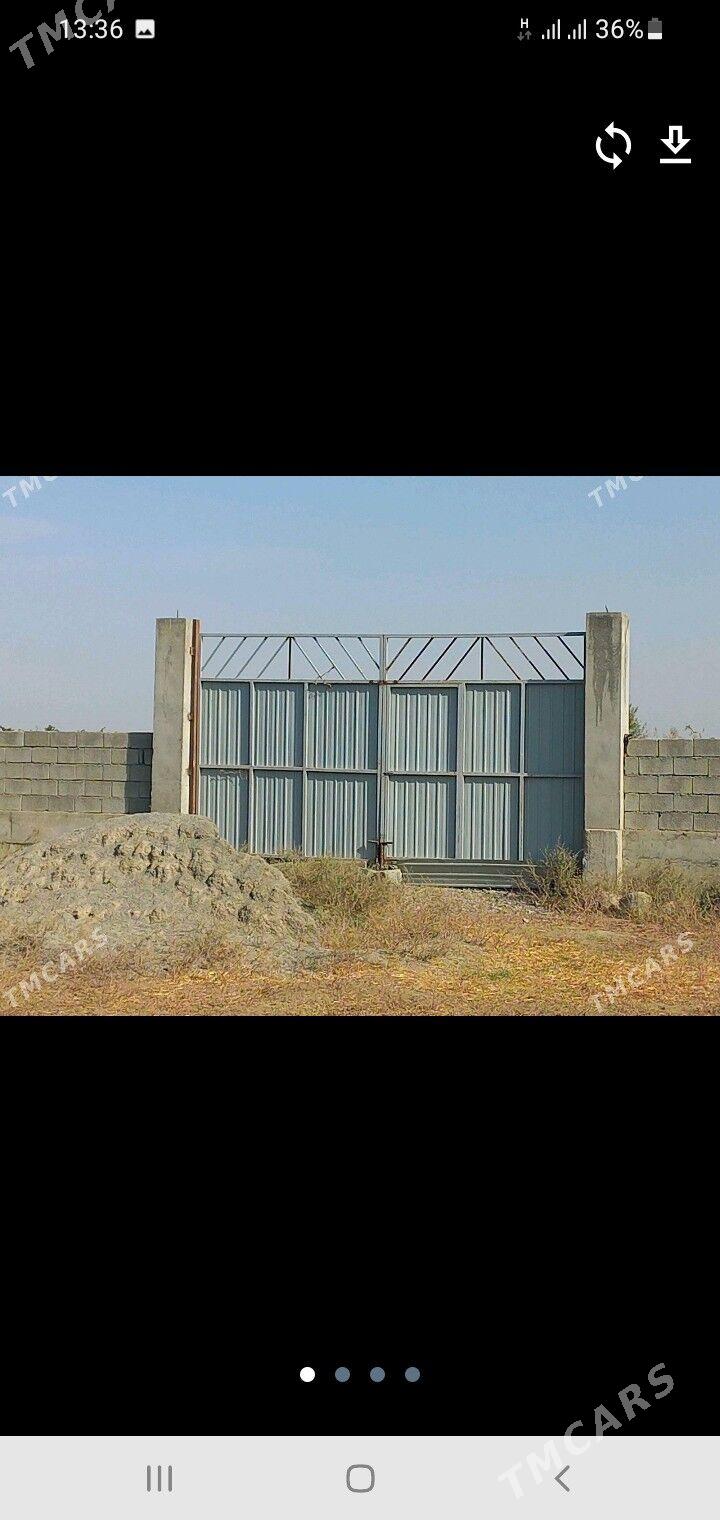 Mellek ýer śorgala - Гёкдепе - img 2