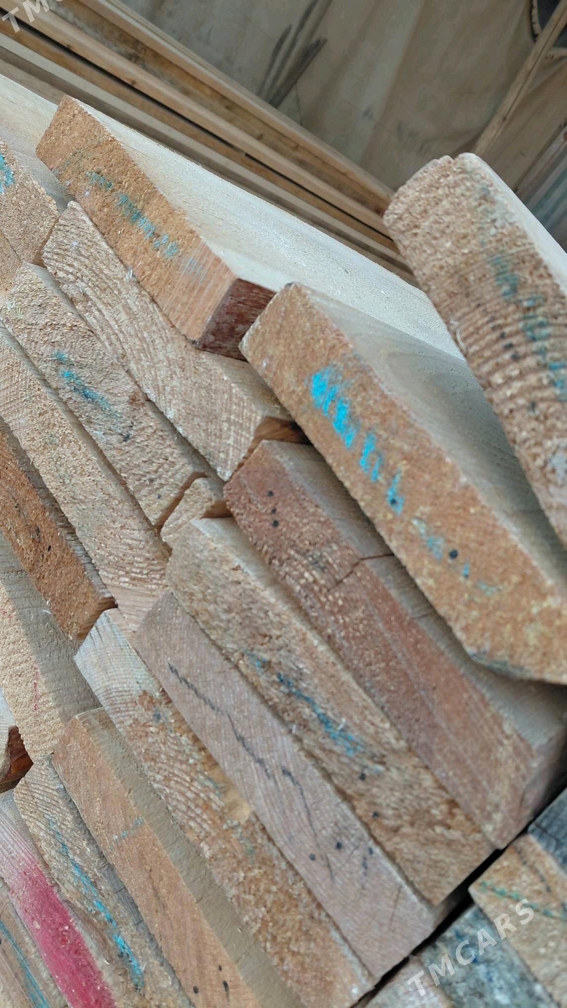 agac taze - Mary - img 2