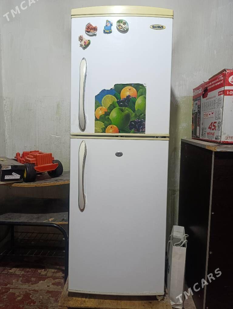 holodinik gulobus - Änew - img 3