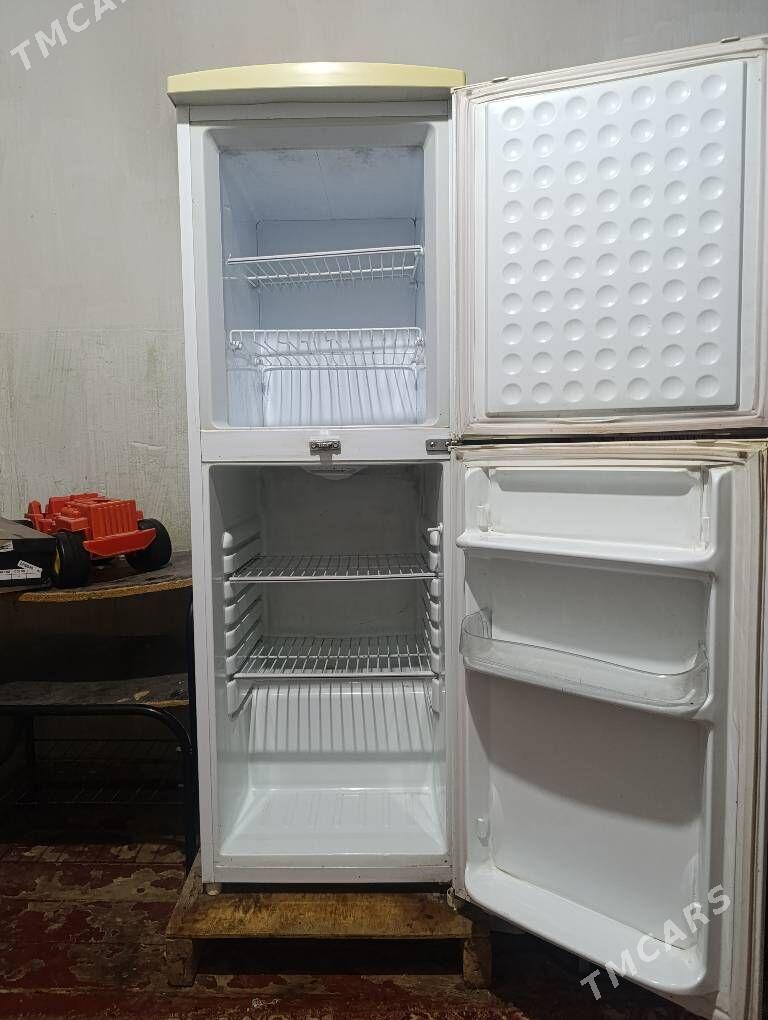 holodinik gulobus - Änew - img 4