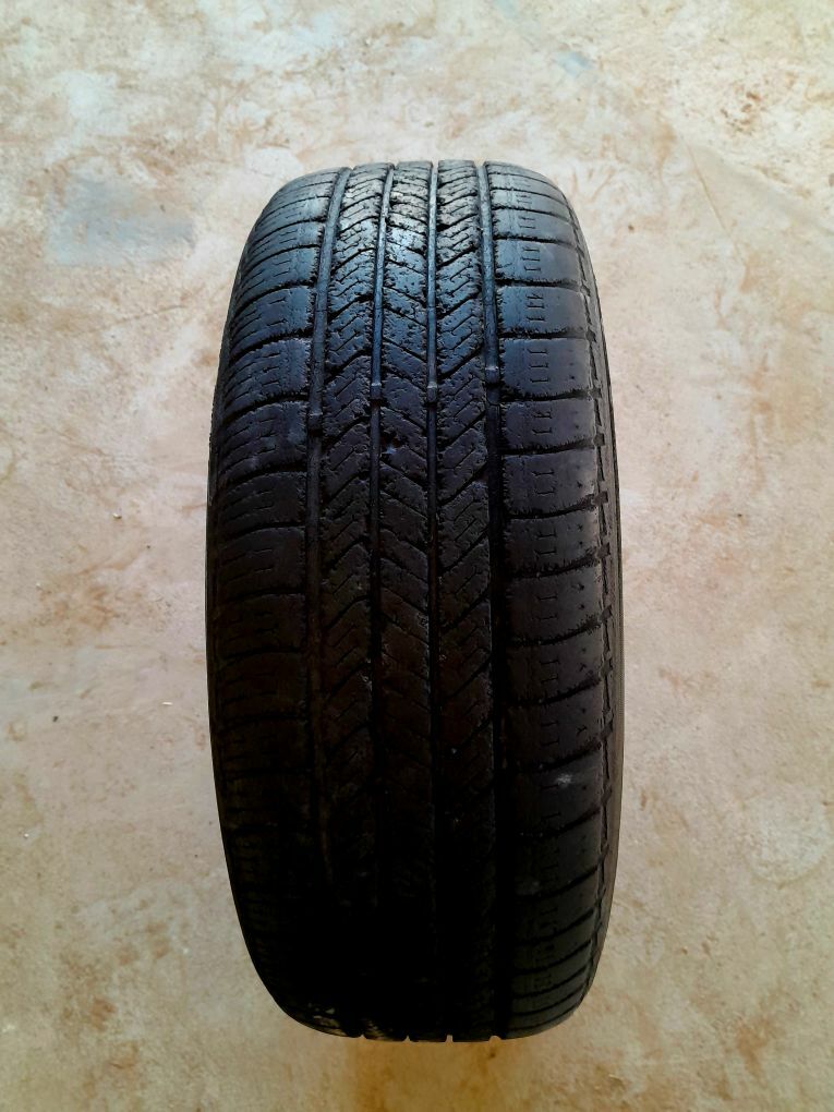 215.65.15 200 TMT - Mary - img 2