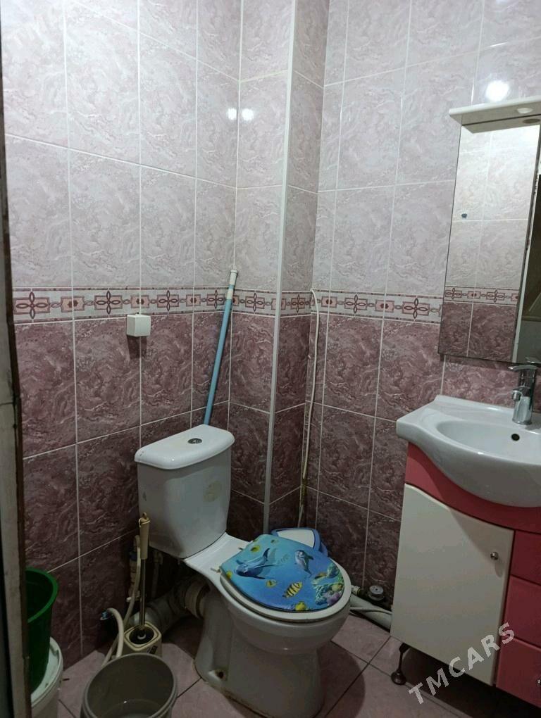 Satlyk jay - Мары - img 1