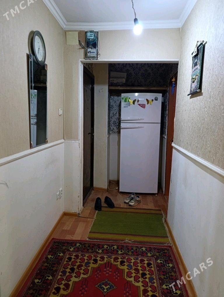 Satlyk jay - Мары - img 3