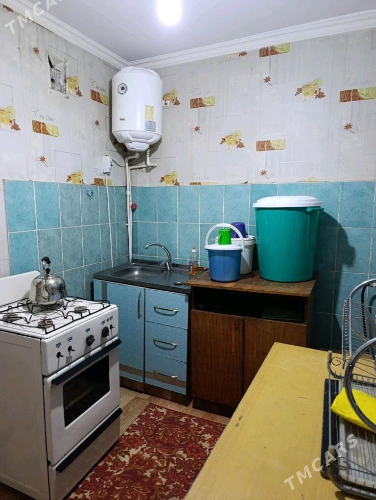 Satlyk jay - Мары - img 7