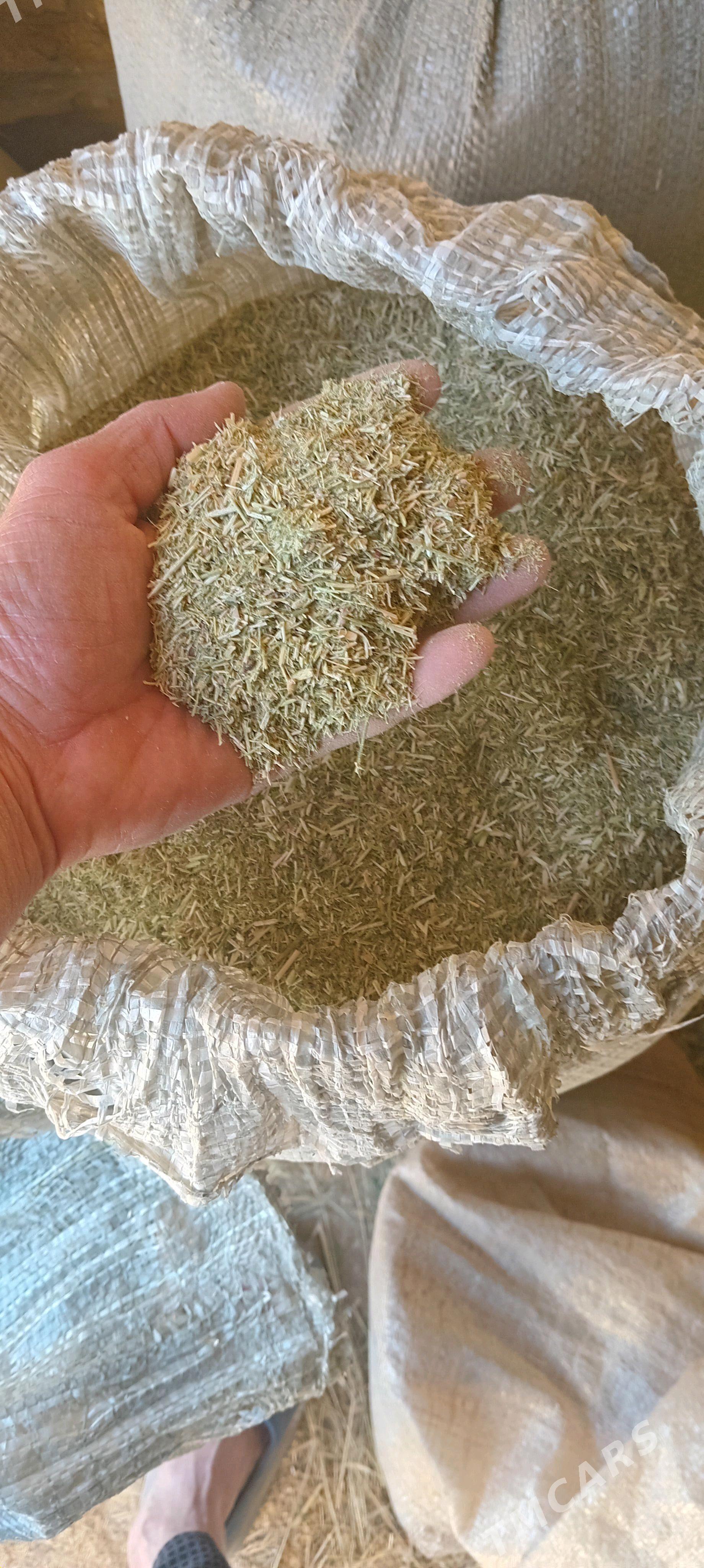 üwelen ýandak külke edilen - Mary - img 1