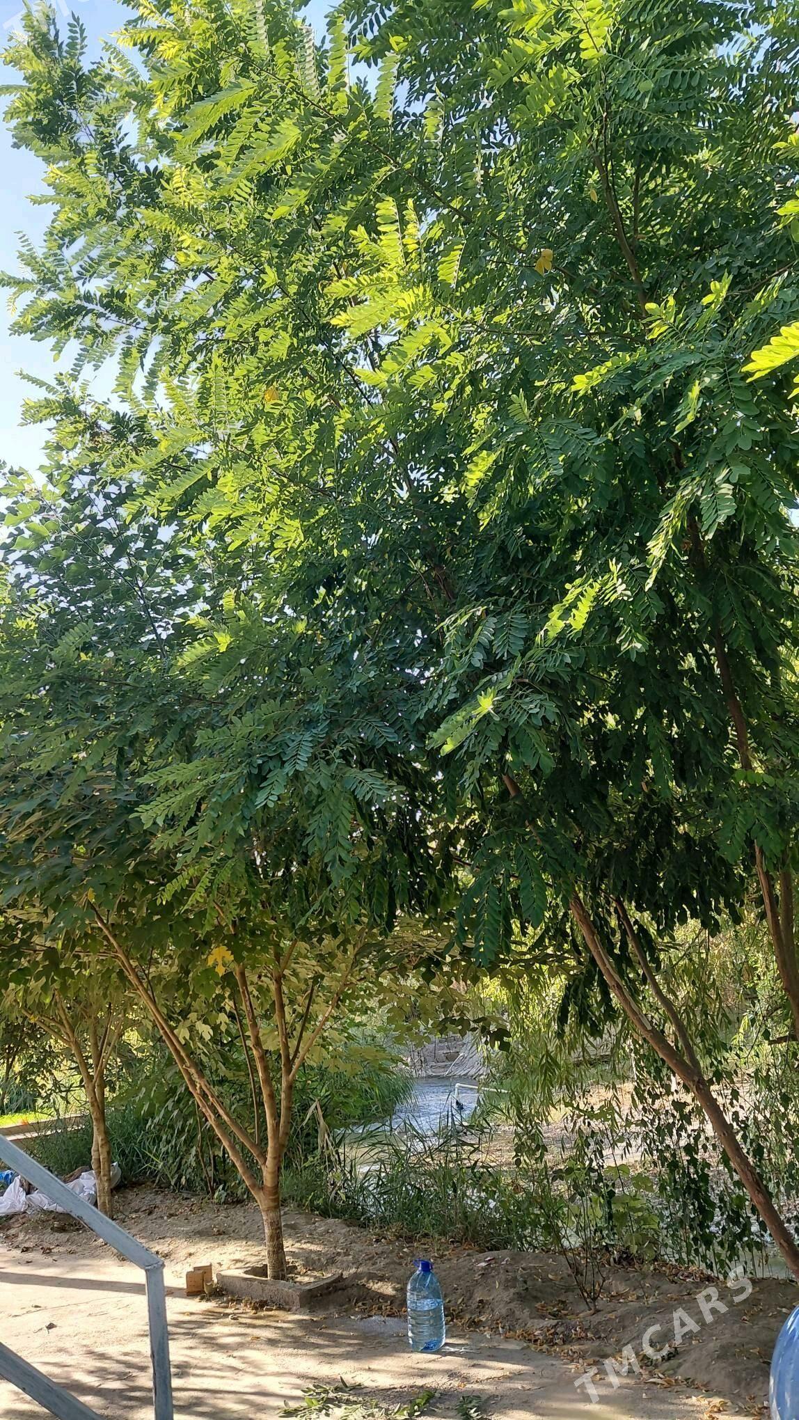 daca 8 yap - Гёкдепе - img 1