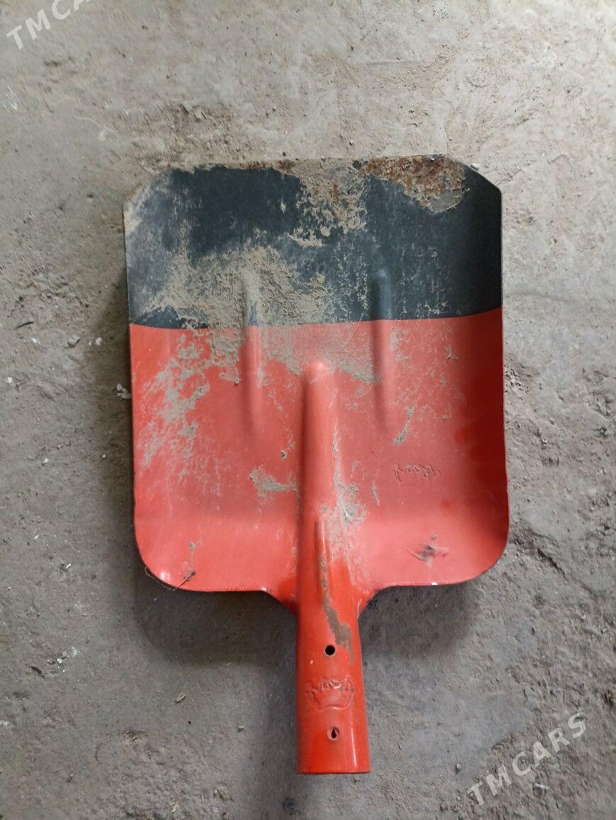 lopata - Mary - img 1