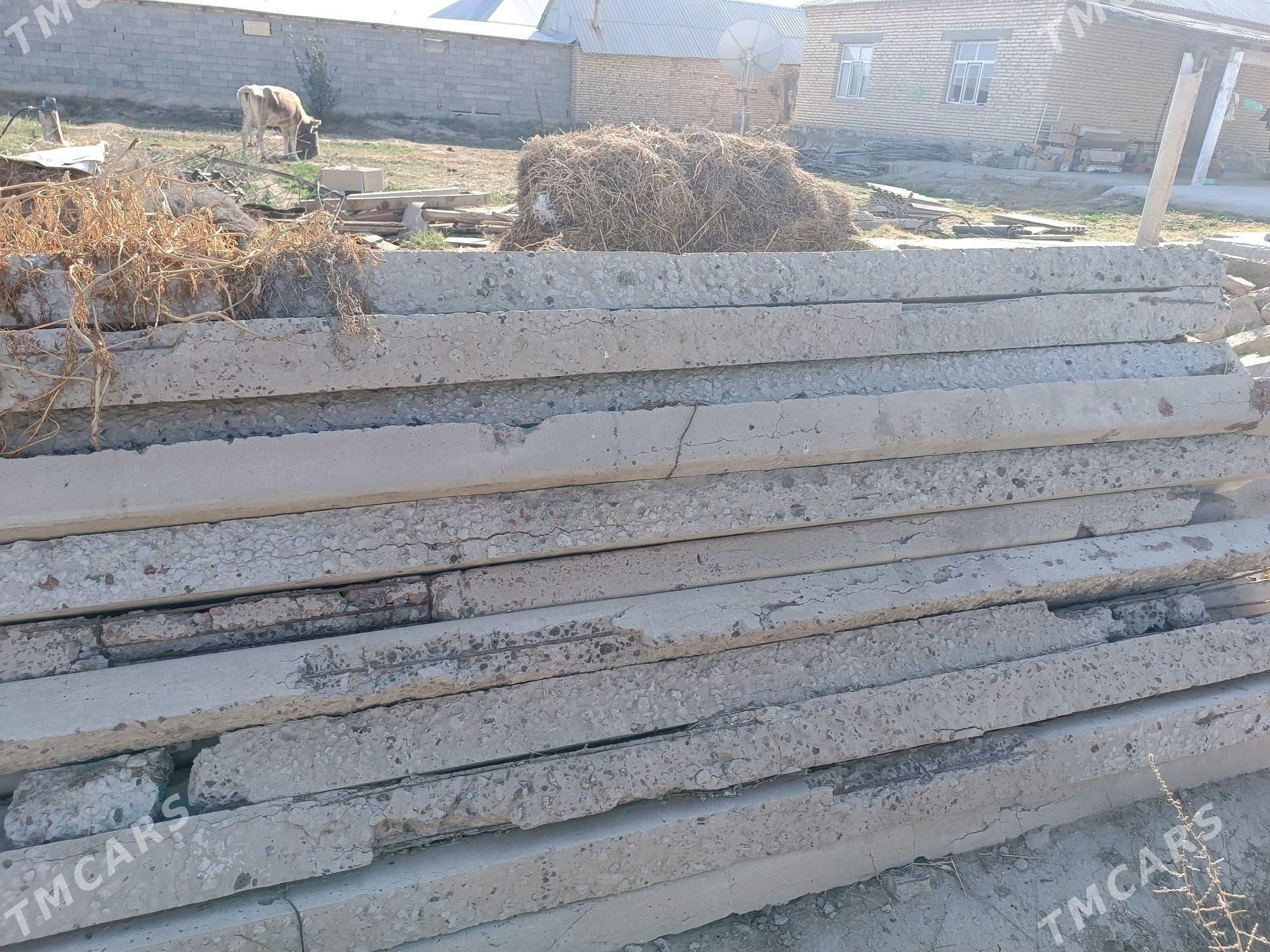 pasynka - Gökdepe - img 2