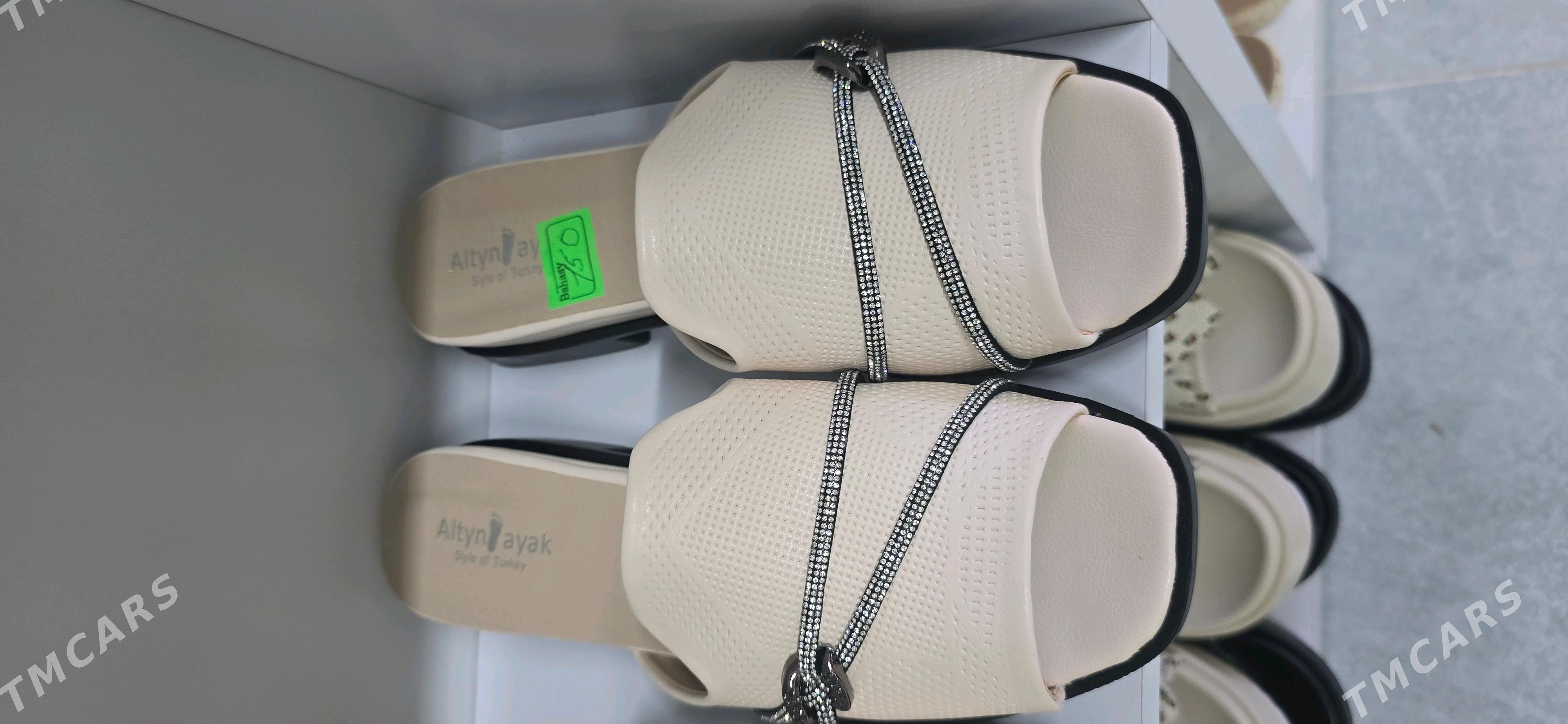 şypbyklar - Gurtly - img 3