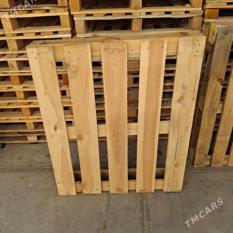 paddon - Çoganly - img 2