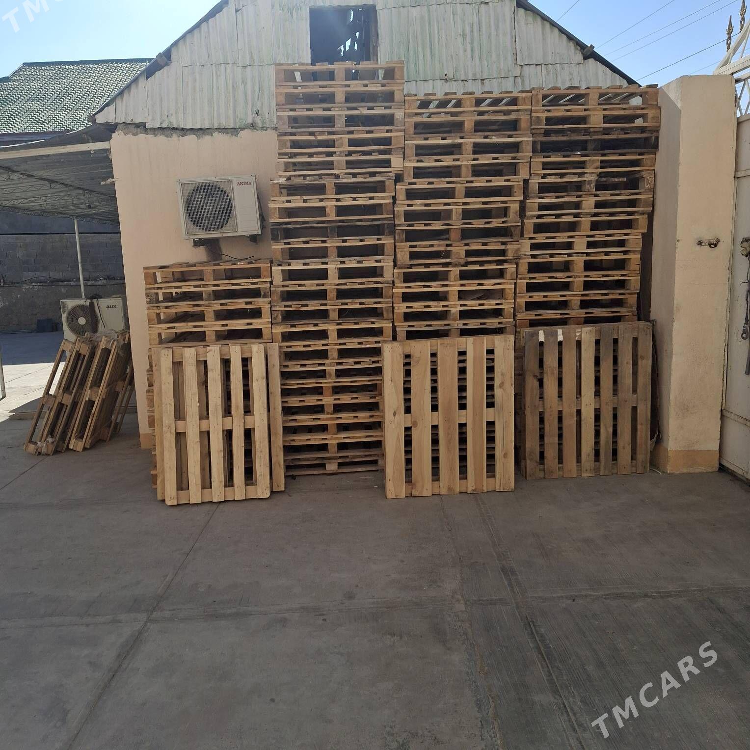 paddon - Çoganly - img 3