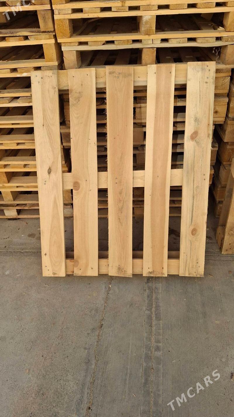 paddon - Çoganly - img 1