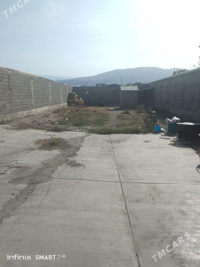 Satlyk jay - Aşgabat - img 4