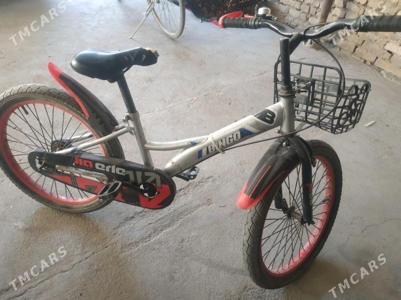 tigirler - Türkmenabat - img 3