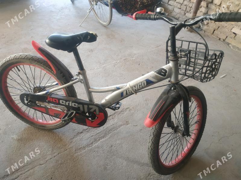 tigirler - Türkmenabat - img 4