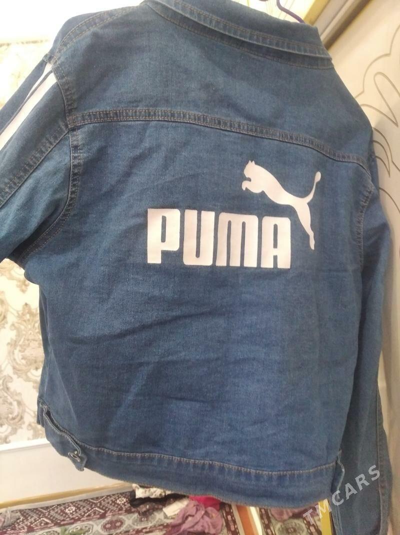 koynek kastiyum - Daşoguz - img 2