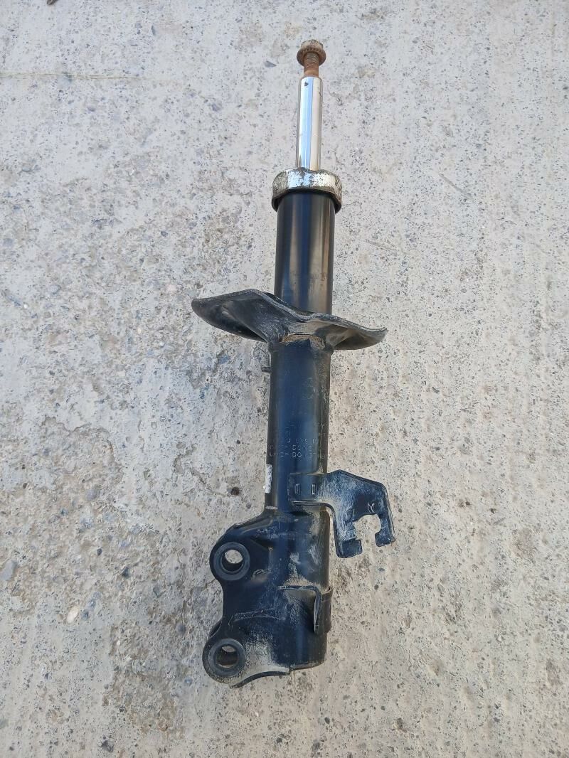 amestizator  nessan wersa 250 TMT - Bekrewe - img 3