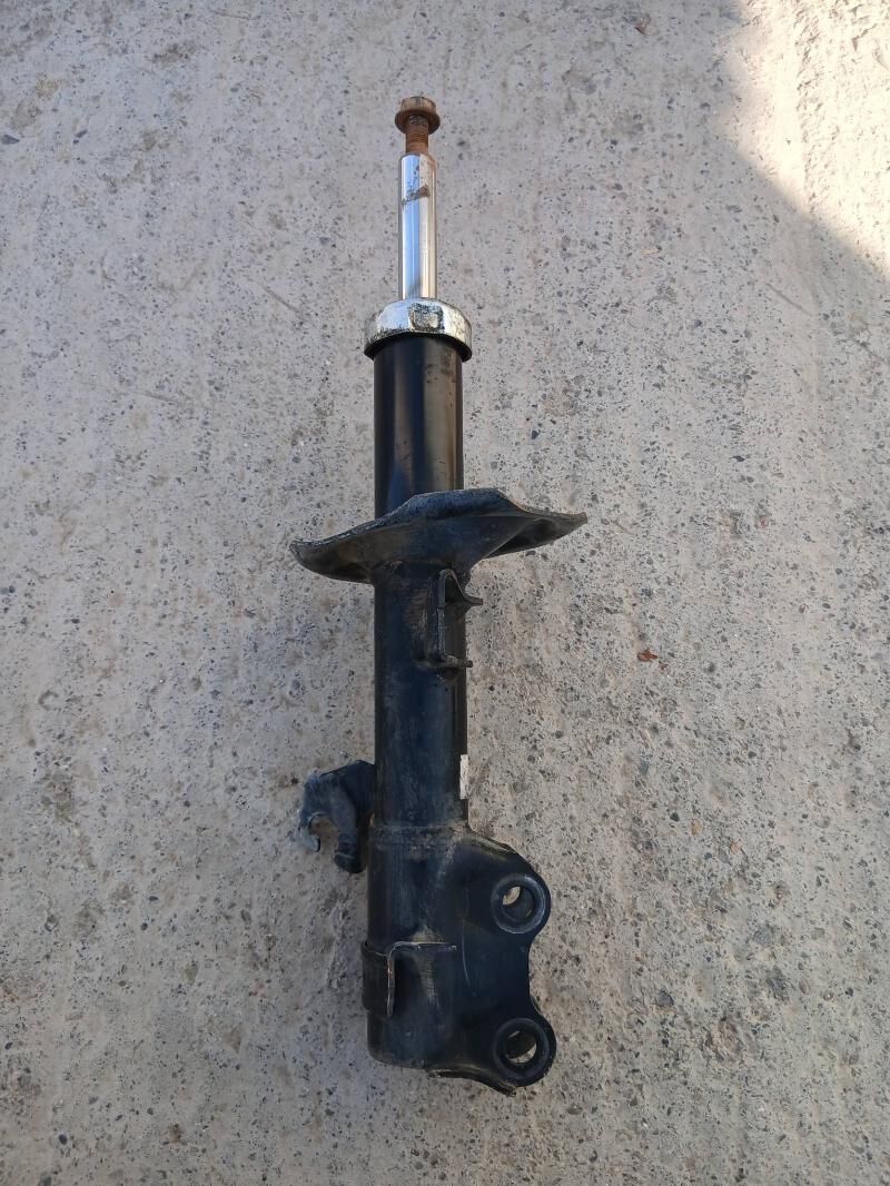 amestizator  nessan wersa 250 TMT - Bekrewe - img 1