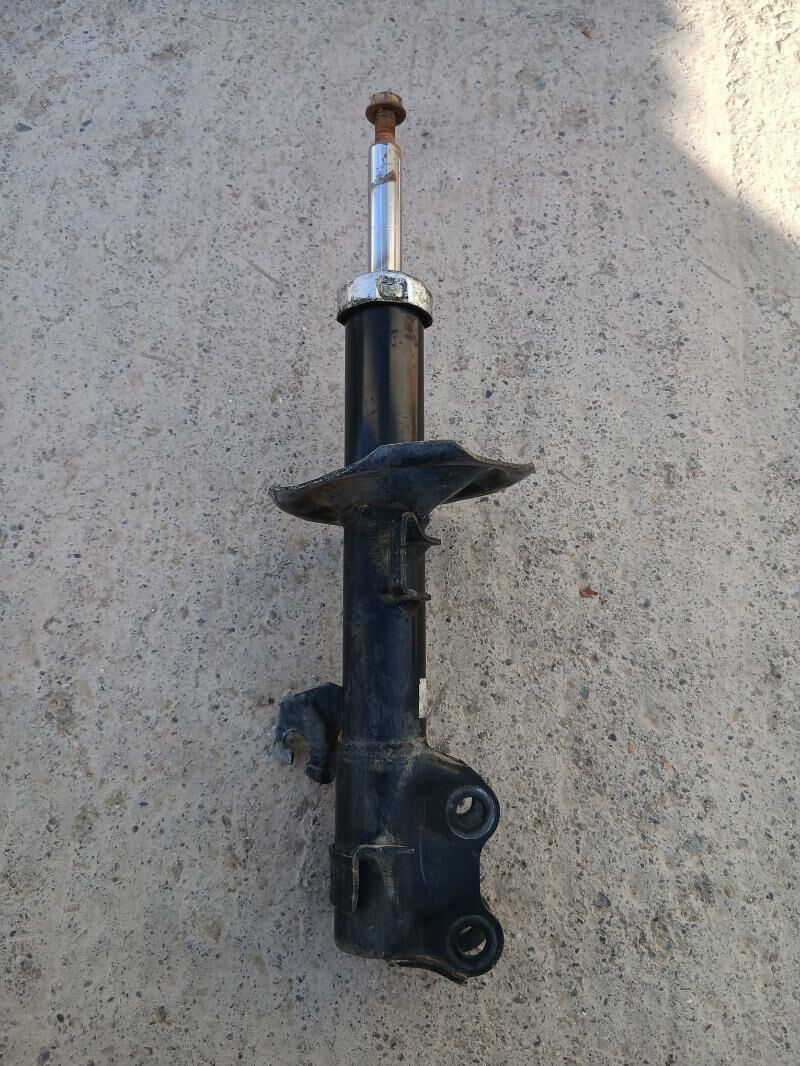 amestizator  nessan wersa 250 TMT - Bekrewe - img 2