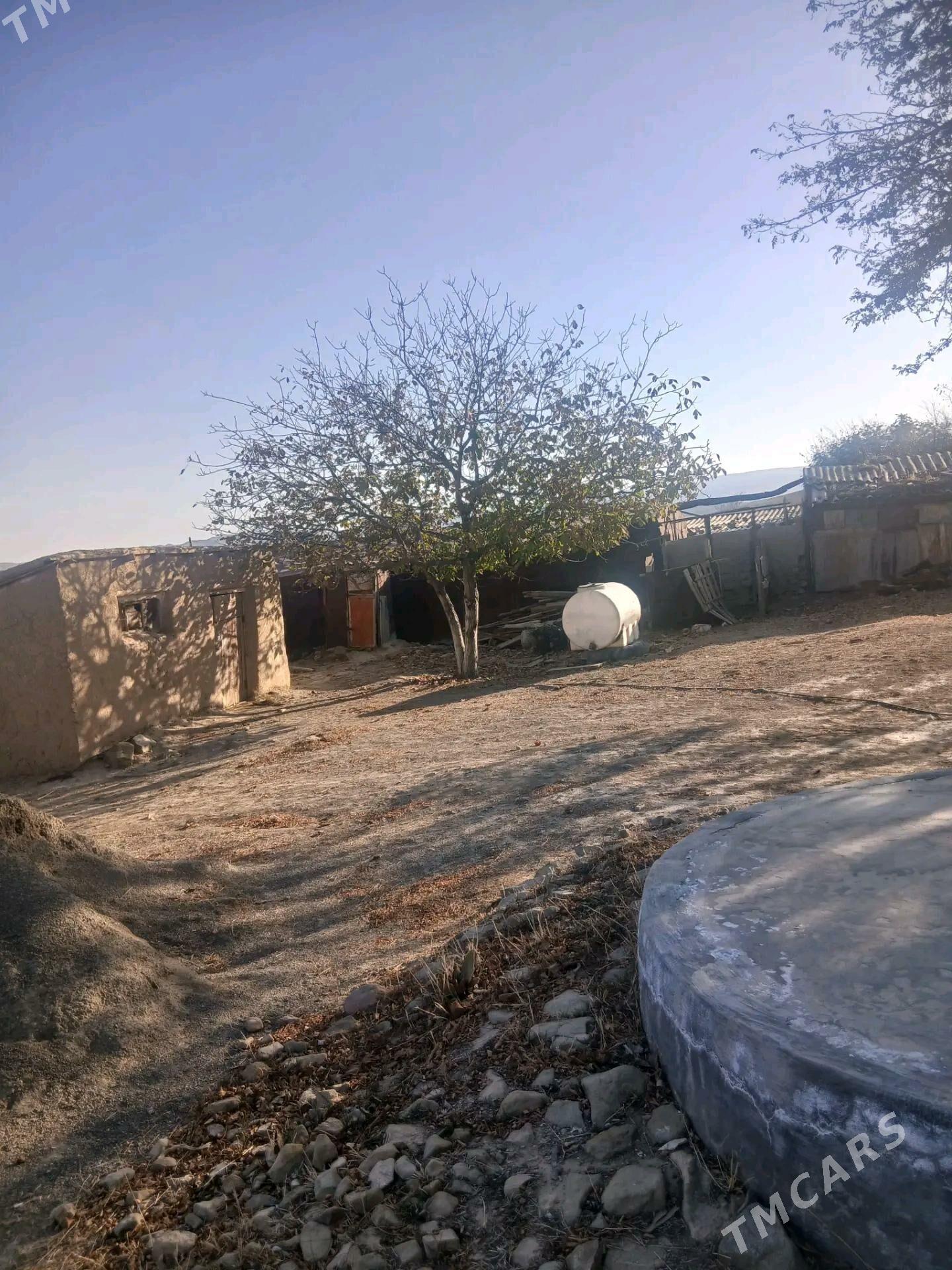 satlyk jaýsatlyk jaý - Бахарден - img 1