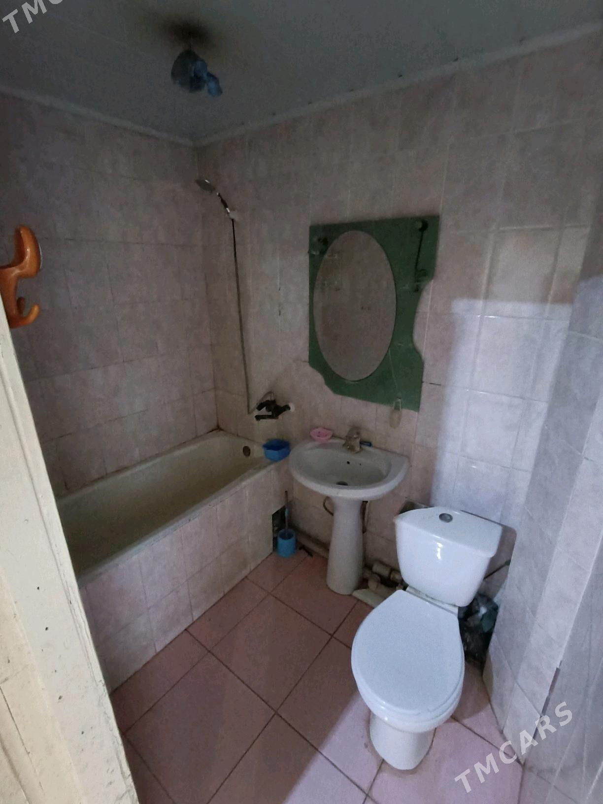 Satlyk jay 3 mkr - Mary - img 5