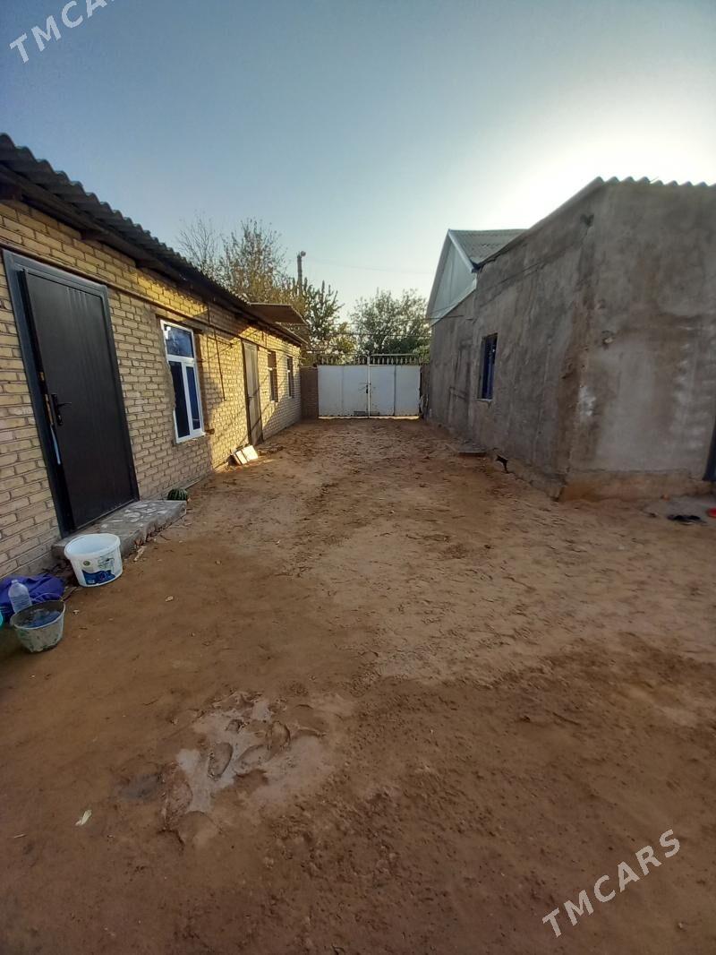 Satlyk jaÿ. - Mary - img 8