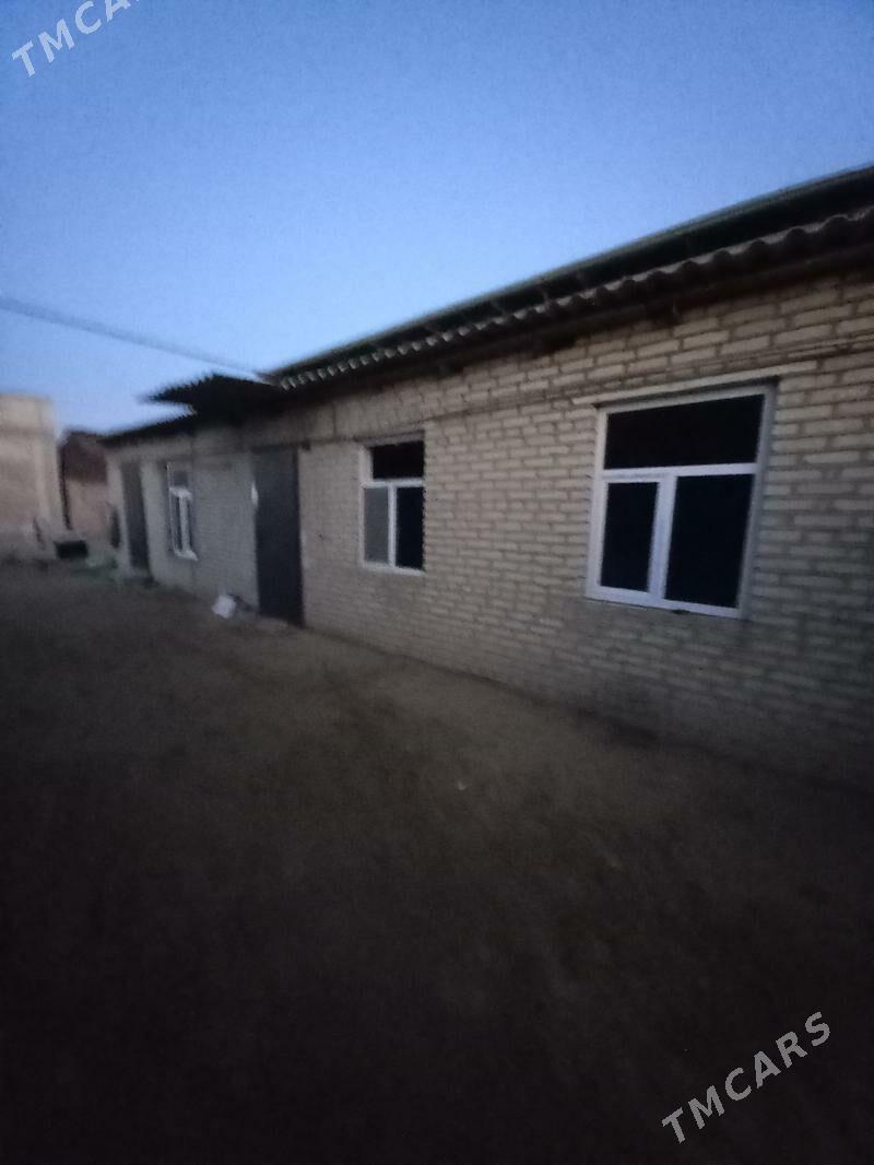 Satlyk jaÿ. - Mary - img 7