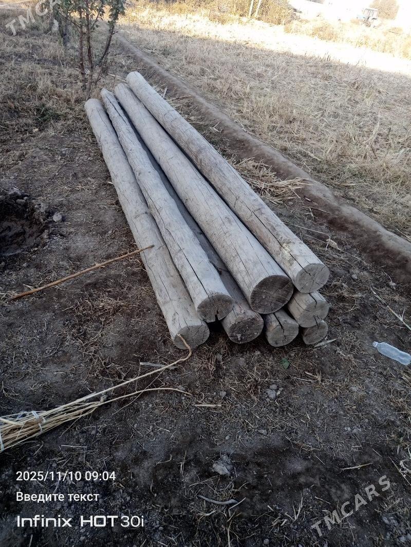 Рассик агач - Köneürgenç - img 1