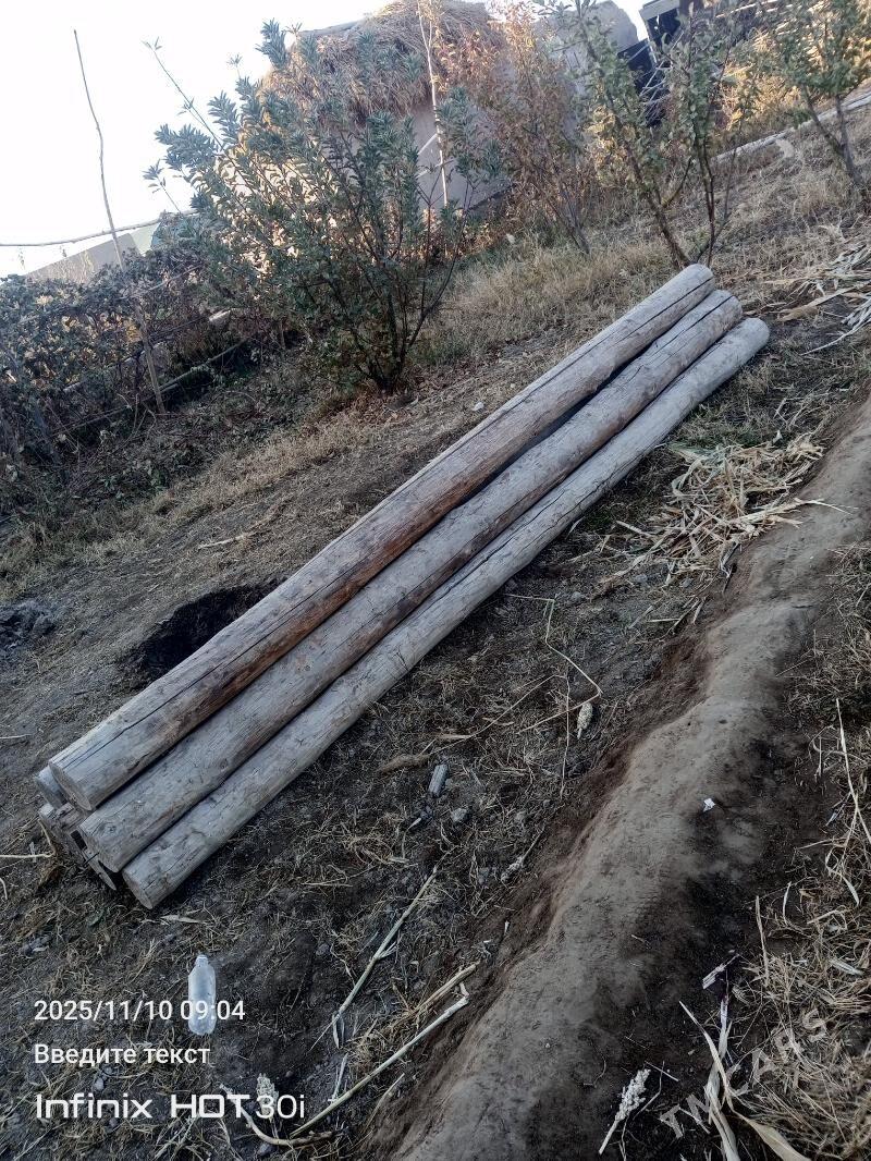 Рассик агач - Köneürgenç - img 2